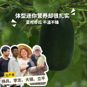 生态小冬瓜 | 绿家自产*ecological gourd | Self-production