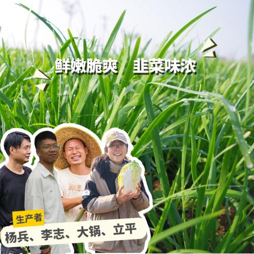 生态韭菜 | 绿家自产* Ecological Garlic Chives | In-House Production 商品图0