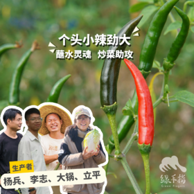 生态小米椒 | 绿家自产*Ecological millet pepper | Self-production