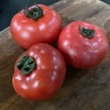 生态天津草莓西红柿 | 合作生产*Eco-tomato | Coproduction 商品缩略图1