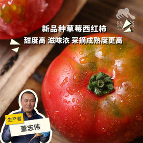生态天津草莓西红柿 | 合作生产*Eco-tomato | Coproduction