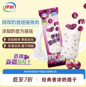伊利牧场奶提子雪糕