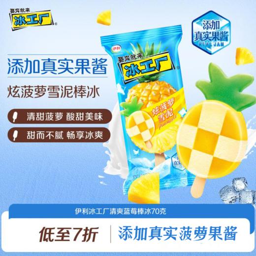 伊利冰工厂炫菠萝雪泥 商品图0
