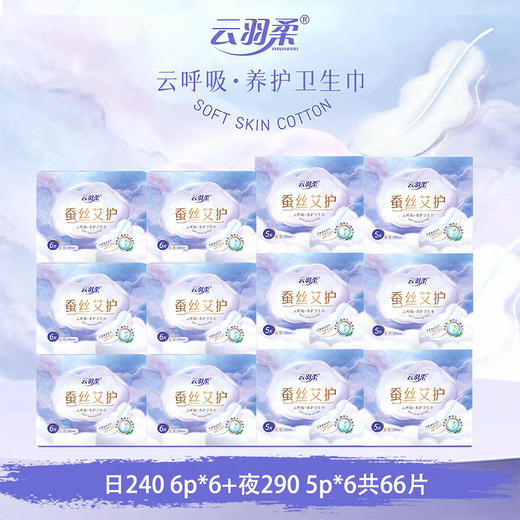 云羽柔 蚕丝艾护卫生巾 云呼吸养护卫生巾 棉柔亲肤透气 夜用+日用 12盒 商品图1
