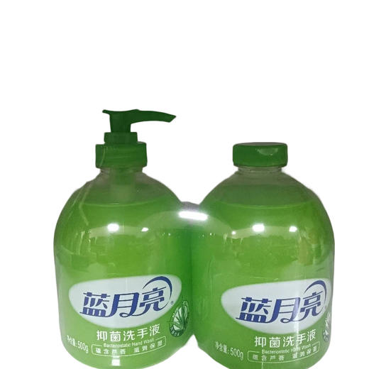 蓝月亮抑菌洗手液500g+抑菌洗手液瓶补500g(E4-01-03) 商品图0