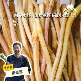 生态藕带 | 合作生产* Eco-lotus sprout | Partner Production