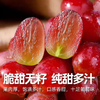 智利红提500g 商品缩略图0