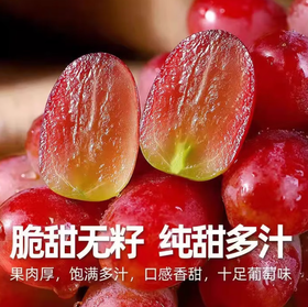 智利红提500g