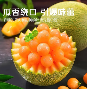 海南晓蜜蜜瓜
