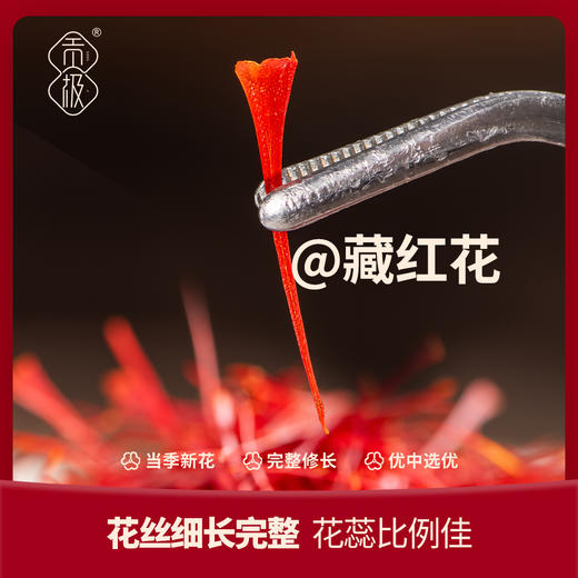 贡极圣草灵茸【金榜高粽】 商品图6