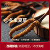 贡极圣草灵茸【金榜高粽】 商品缩略图4