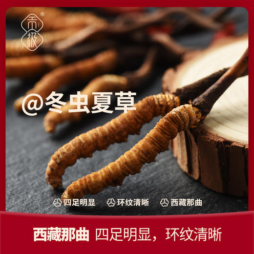 贡极圣草灵茸【金榜高粽】 商品图4