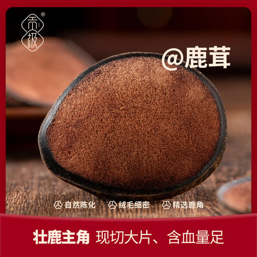 贡极圣草灵茸【金榜高粽】 商品图5