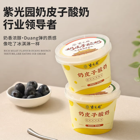 紫光园奶皮子酸奶原味（5.12~5.15可提货）
