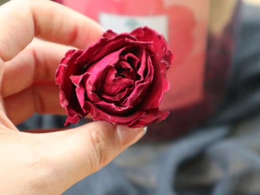 🔥母亲节活动 🌹冻干墨红玫瑰🌹 商品图8