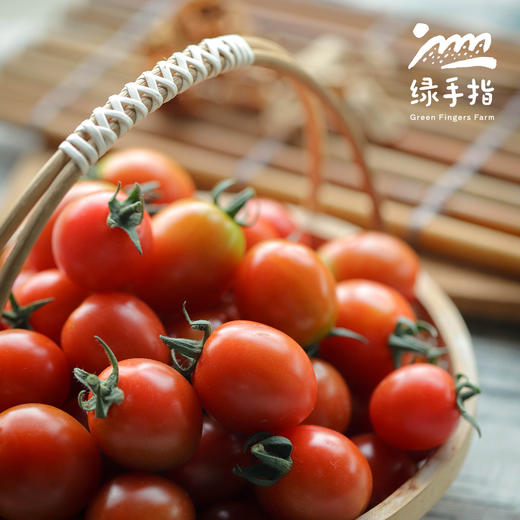 生态圣女果 | 合作生产 *Eco- tomato | Coprodution 商品图3
