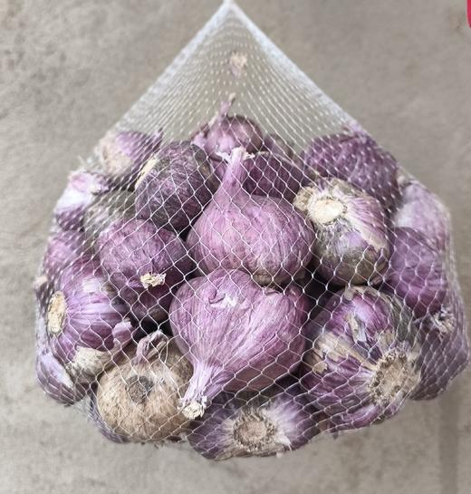 生态紫皮蒜（干蒜） | 合作生产*Ecological purple-skinned garlic| Partner Production 商品图2