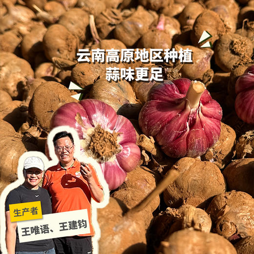 生态紫皮蒜（干蒜） | 合作生产*Ecological purple-skinned garlic| Partner Production 商品图0
