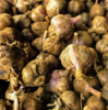 生态紫皮蒜（干蒜） | 合作生产*Ecological purple-skinned garlic| Partner Production 商品缩略图1