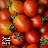 生态圣女果 | 合作生产 *Eco- tomato | Coprodution 商品缩略图2