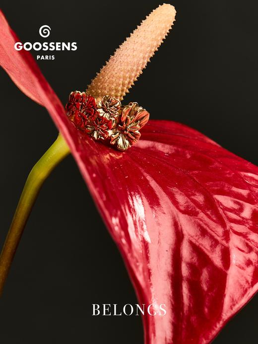 北京仓｜Goossens Paris-Fleur de Pavot-虞美人 戒指［法国设计师］ 商品图2