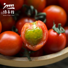 生态圣女果 | 合作生产 *Eco- tomato | Coprodution
