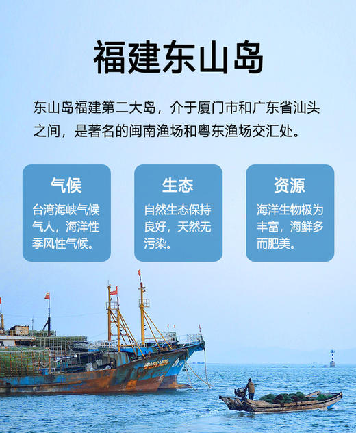 东山岛|黄金干贝 商品图5