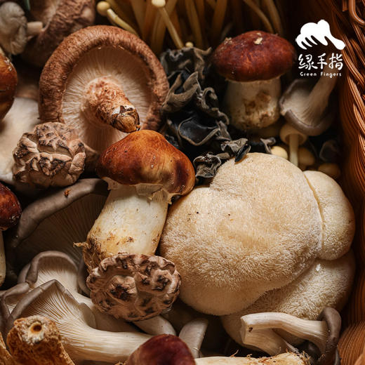有机什锦蘑菇箱 | 绿家自产 * Organic mushroom | Self-production 商品图4