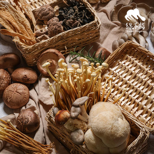 有机什锦蘑菇箱 | 绿家自产 * Organic mushroom | Self-production 商品图5