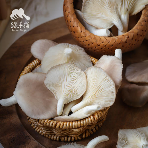 有机什锦蘑菇箱 | 绿家自产 * Organic mushroom | Self-production 商品图3