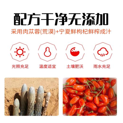 有机肉苁蓉枸杞原浆 提升活力元气恢复 加班劳累疲劳上班学生 特伦格雅肉苁蓉枸杞浆 商品图3