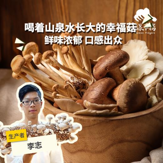 有机什锦蘑菇箱 | 绿家自产 * Organic mushroom | Self-production 商品图0
