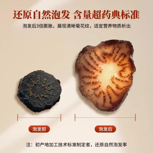 特伦格雅有机肉苁蓉片（三年生）有机自然风干营养保留好 煲汤炖水精力充满 商品图3