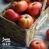 【9-9.5折优惠】生态河南西红柿 | 合作生产*Eco- tomato | Coprodution 商品缩略图3