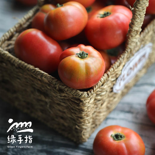 【9-9.5折优惠】生态河南西红柿 | 合作生产*Eco- tomato | Coprodution 商品图3