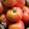 【9-9.5折优惠】生态河南西红柿 | 合作生产*Eco- tomato | Coprodution 商品缩略图1