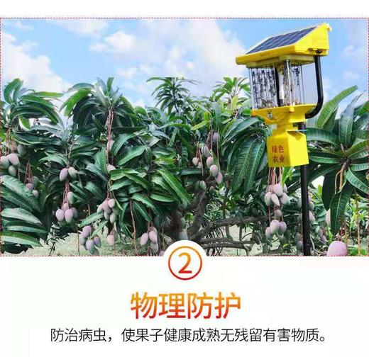 严选 | 海南贵妃芒 净重4.5斤【大果】12-15个 商品图10