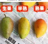严选 | 海南贵妃芒 净重4.5斤【大果】12-15个 商品缩略图4