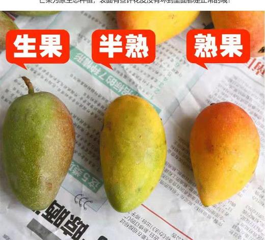 严选 | 海南贵妃芒 净重4.5斤【大果】12-15个 商品图4