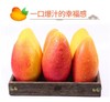 严选 | 海南贵妃芒 净重4.5斤【大果】12-15个 商品缩略图1