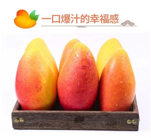 严选 | 海南贵妃芒 净重4.5斤【大果】12-15个 商品图1