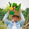 生态自选蔬菜箱（衢州 | 空运蔬菜）| 绿家自产 *Ecological vegetable box  | In-House Production 商品缩略图1