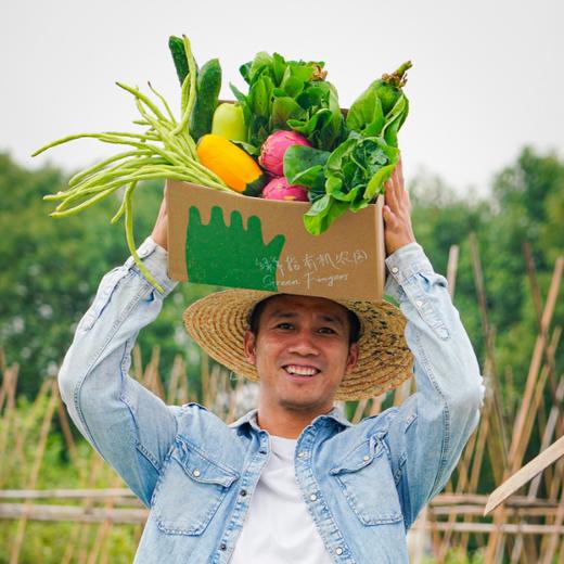 生态自选蔬菜箱（衢州 | 空运蔬菜）| 绿家自产 *Ecological vegetable box  | In-House Production 商品图1