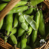 生态新鲜带荚蚕豆（陆运包邮） | 绿家自产*Ecological broad beans | In-House Production 商品缩略图1