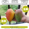 严选 | 海南贵妃芒 净重4.5斤【大果】12-15个 商品缩略图3