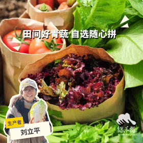 生态自选蔬菜箱（衢州 | 空运蔬菜）| 绿家自产 *Ecological vegetable box  | In-House Production