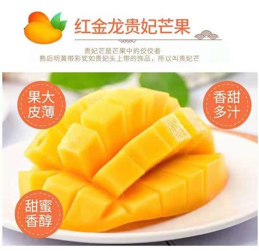 严选 | 海南贵妃芒 净重4.5斤【大果】12-15个 商品图8