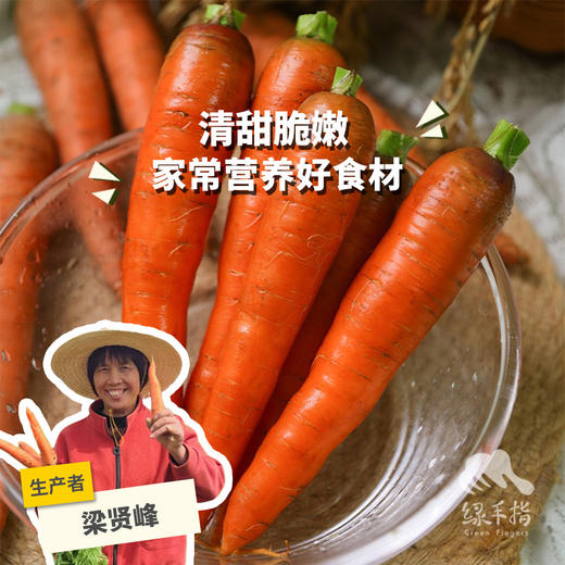 生态河南胡萝卜 | 合作生产*Eco-carrot | Coproduction 商品图0