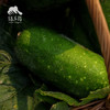 生态节瓜 | 绿家自产* Eco-chieh-qua | Self-production 商品缩略图4