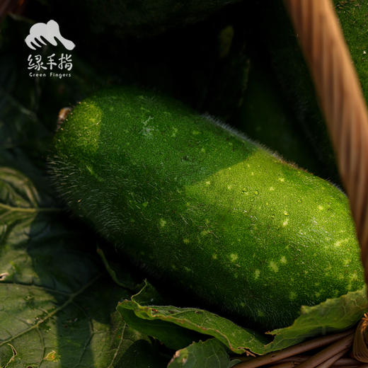 生态节瓜 | 绿家自产* Eco-chieh-qua | Self-production 商品图4